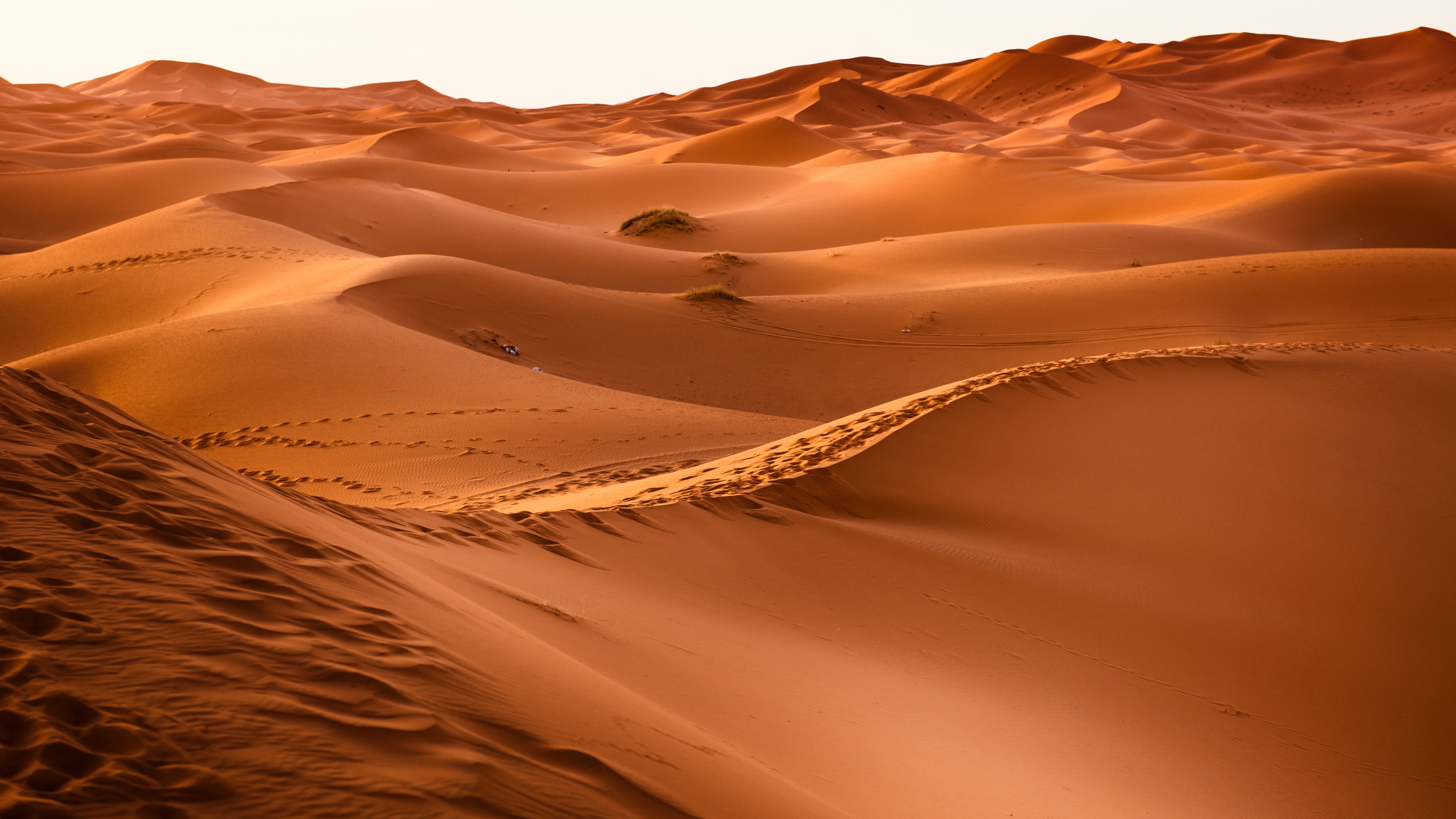 Desert Picture