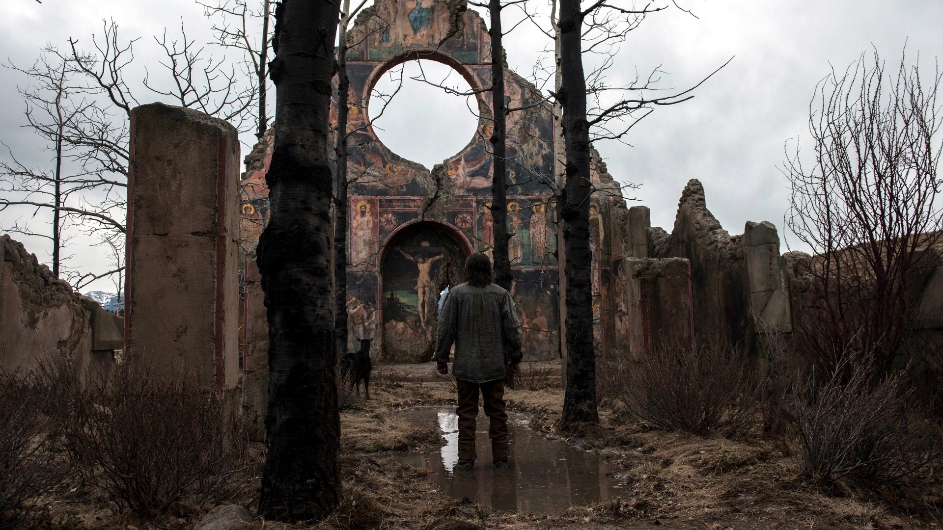 movie The Revenant Image