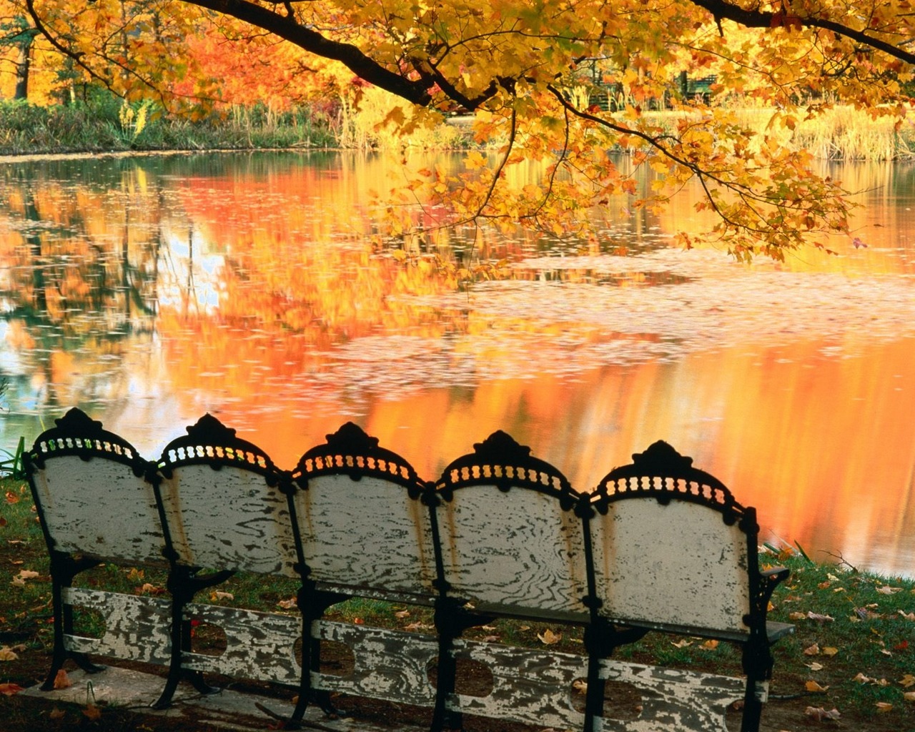 Picuture Fall Fall Picture - Image Abyss