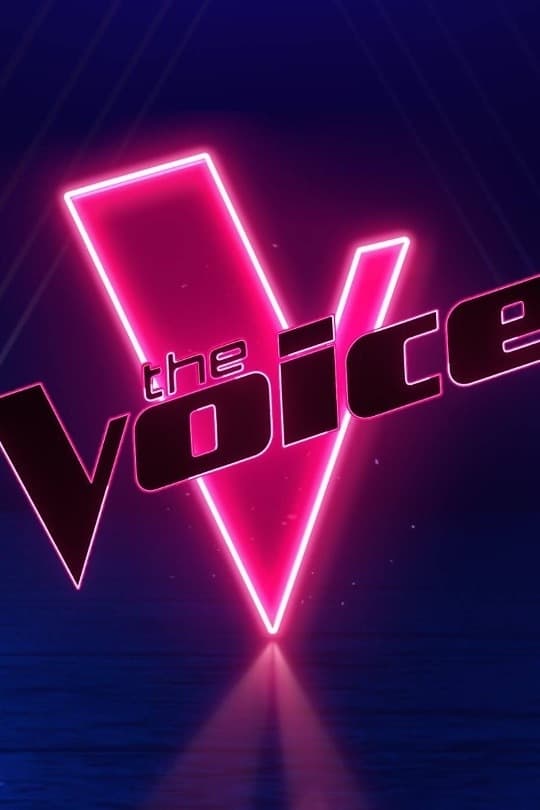 The Voice Picture