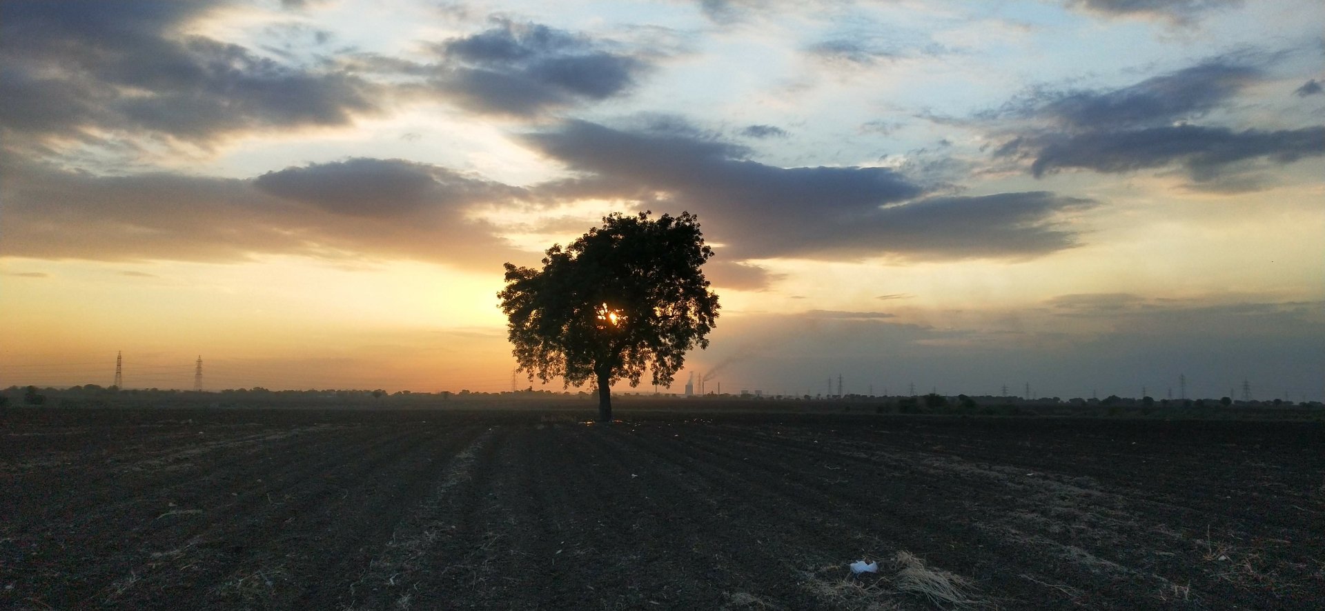  A Beautiful Evening to Walk Alone