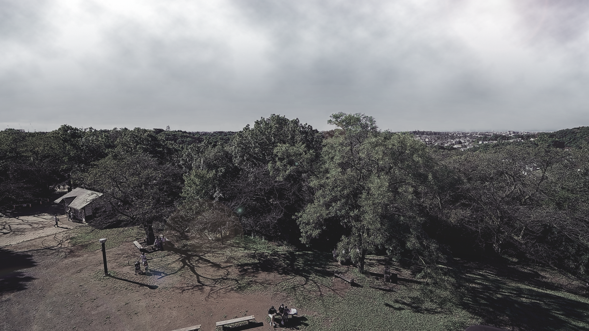  Park