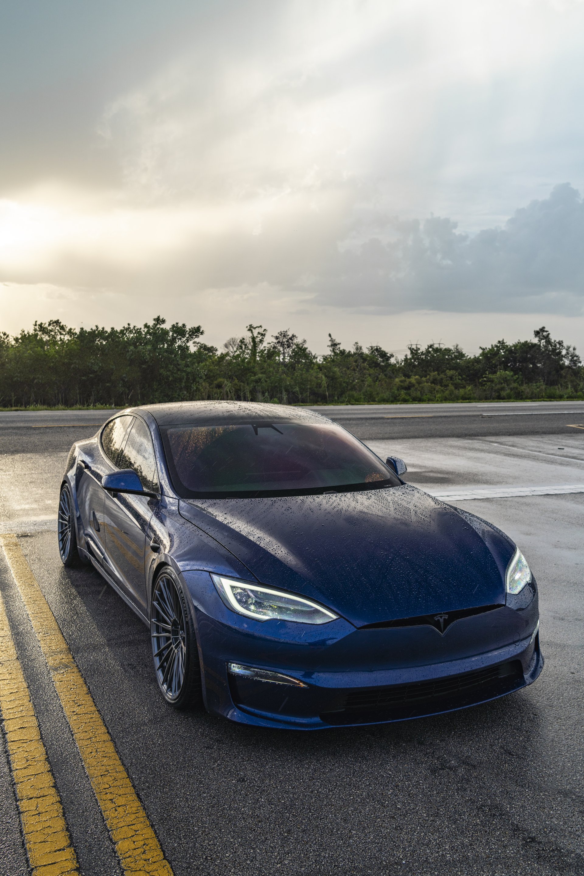 vehicle Tesla Model S Plaid Image
