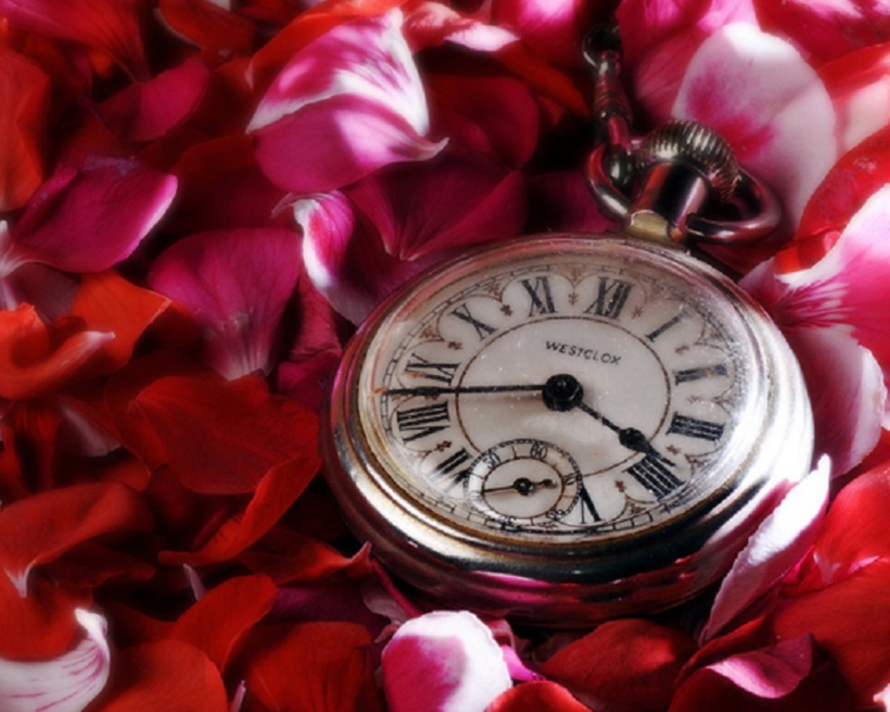 pocket watch man made watch Image