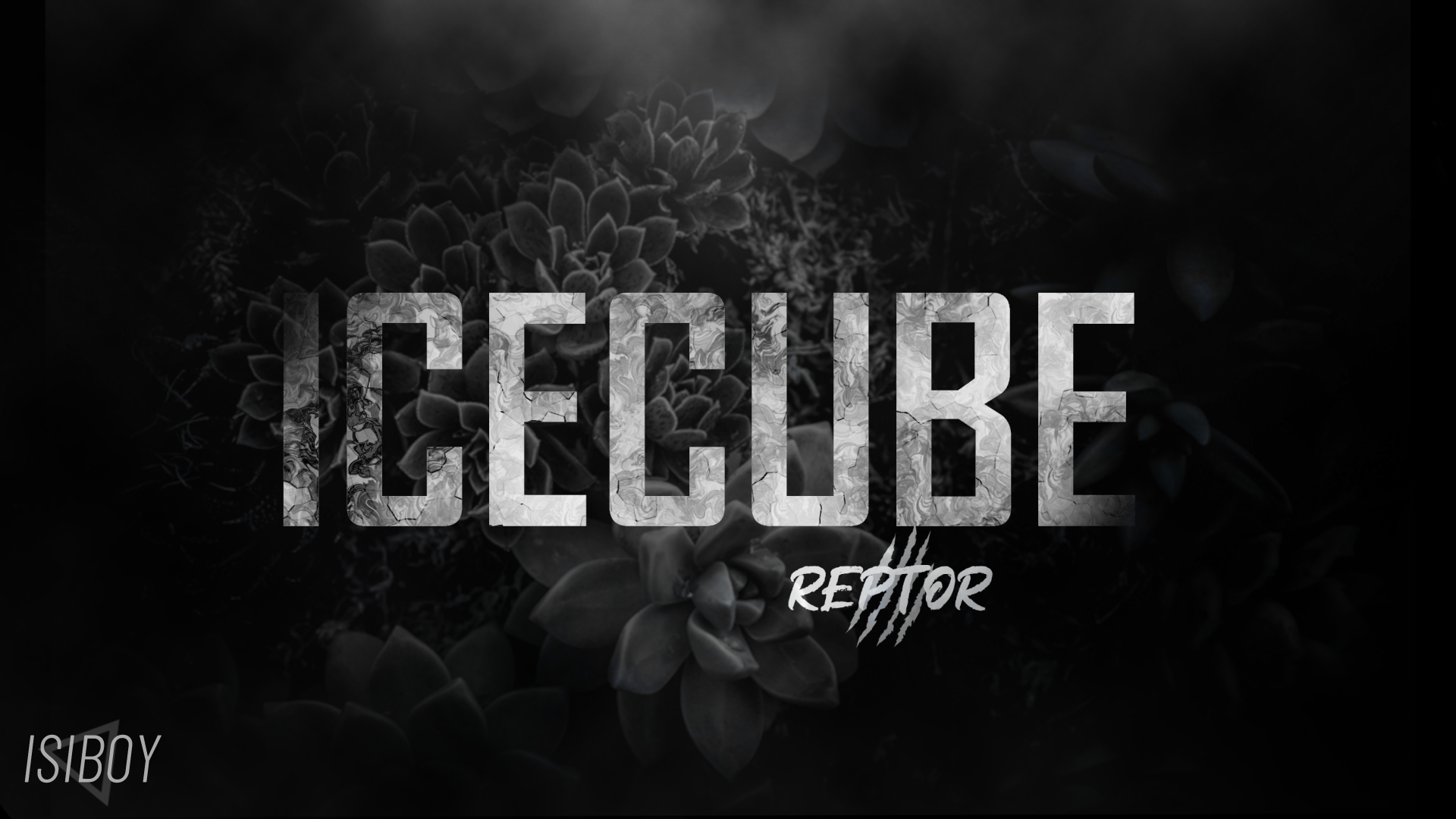  ICECUBE Reptor