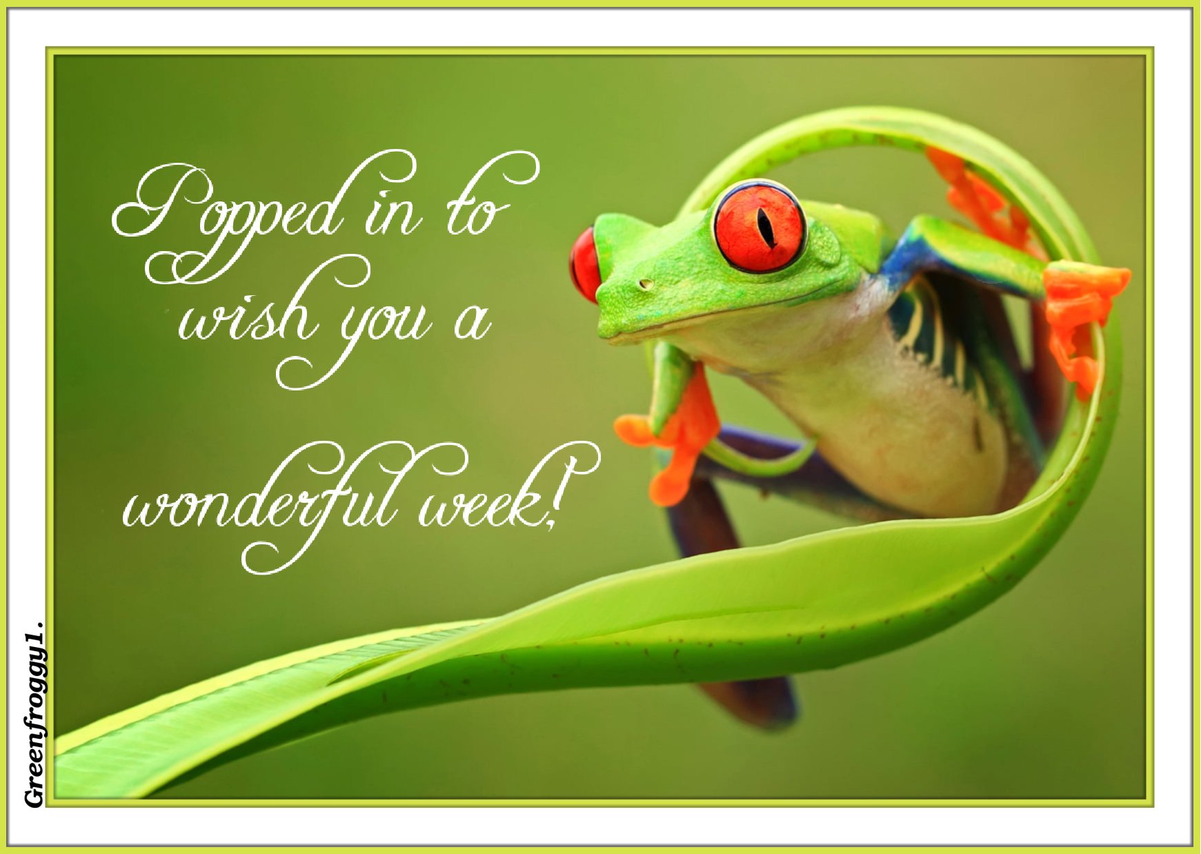 WONDERFUL WEEK Image - ID: 486084 - Image Abyss