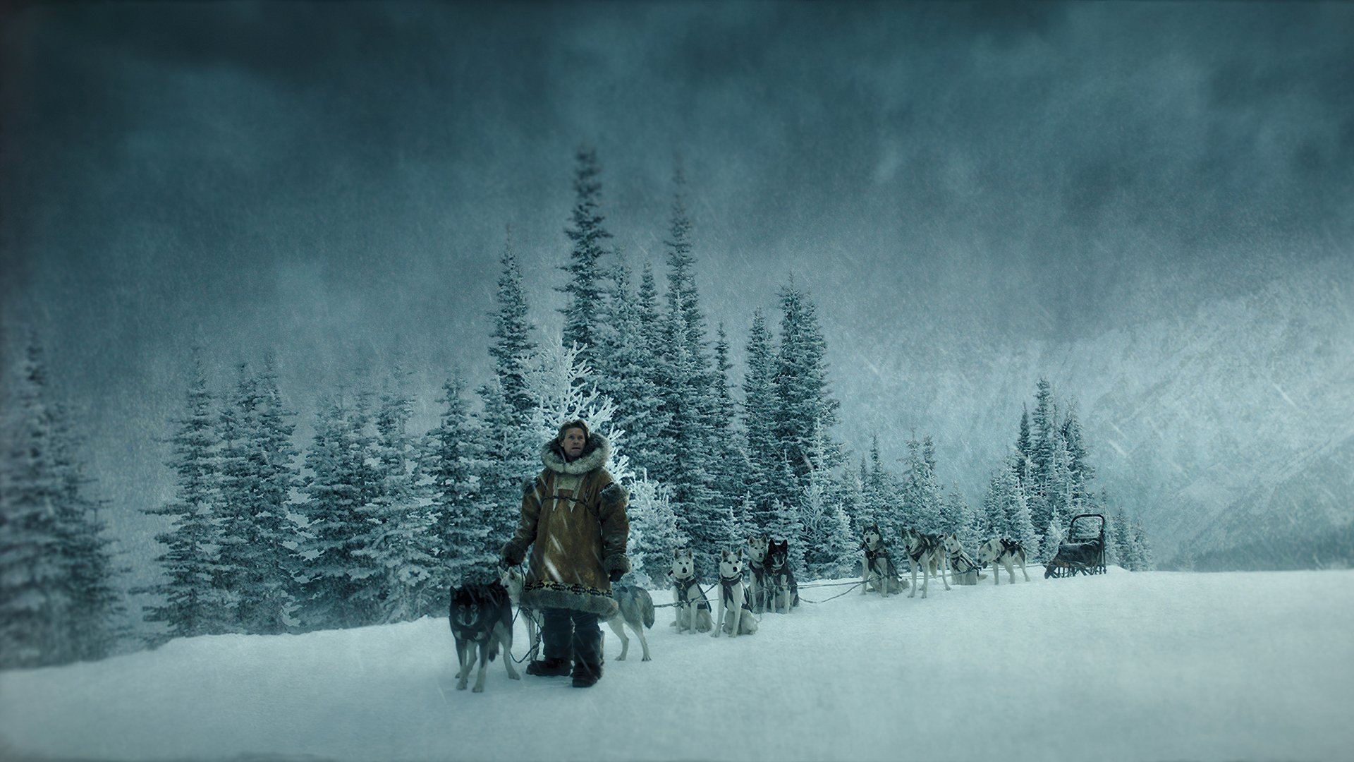 movie Togo (2019) Image