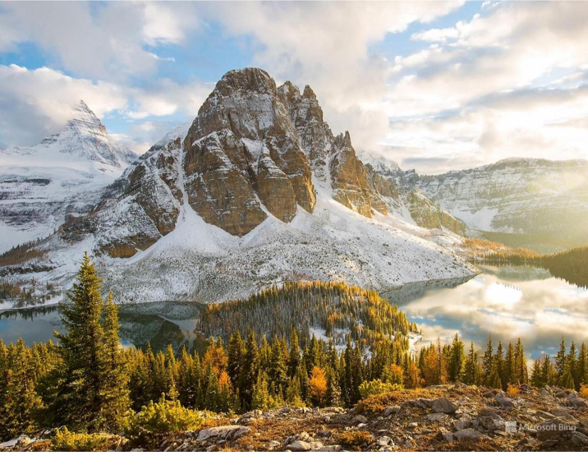 nature landscape Image