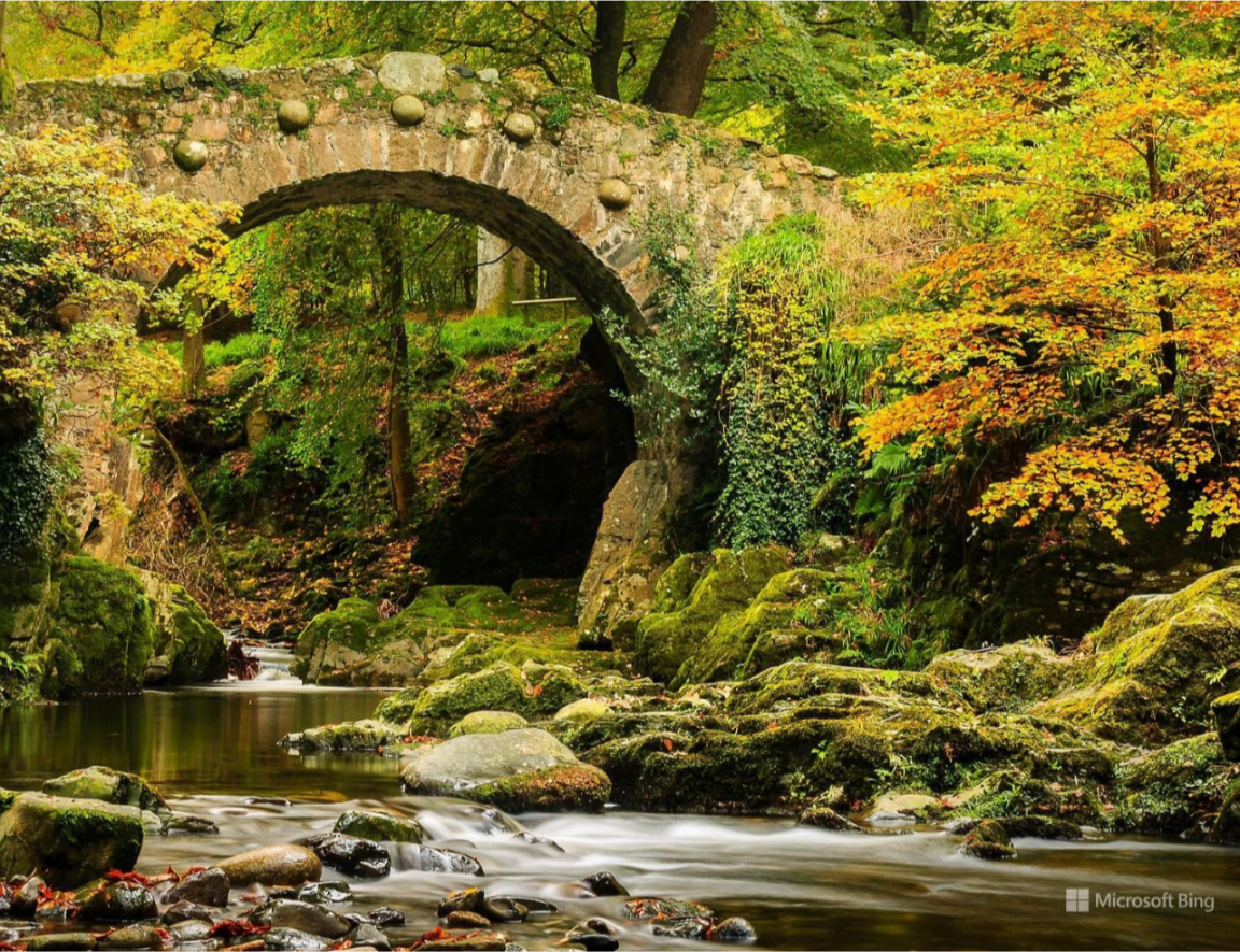 man made bridge Image