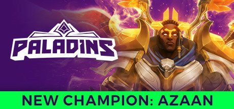 video game Paladins Image