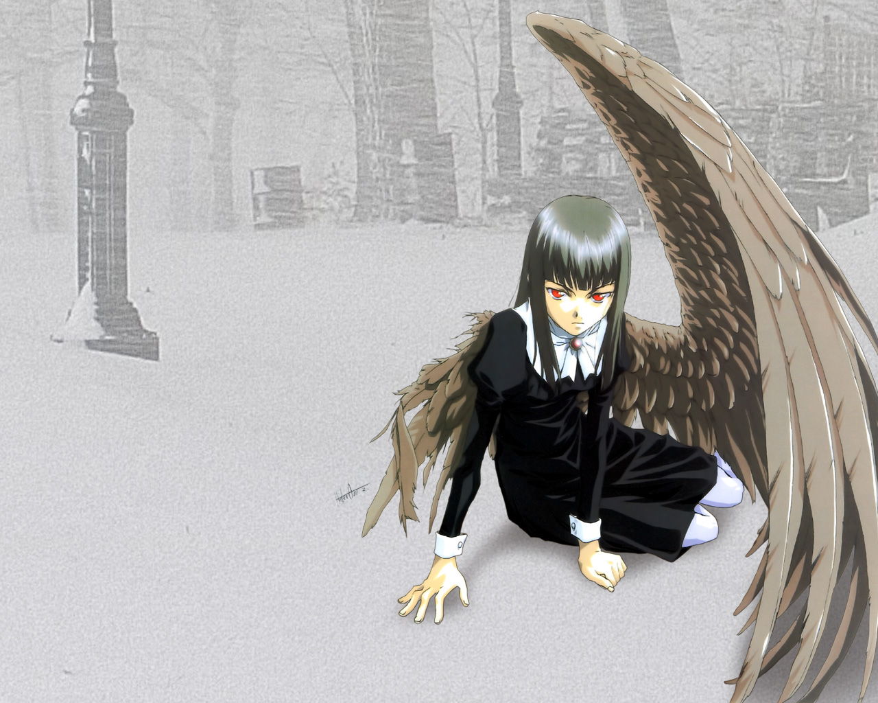 Anime Angel Picture