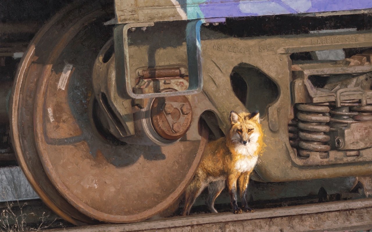 Animal fox Image
