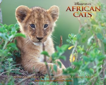 Preview African Cats