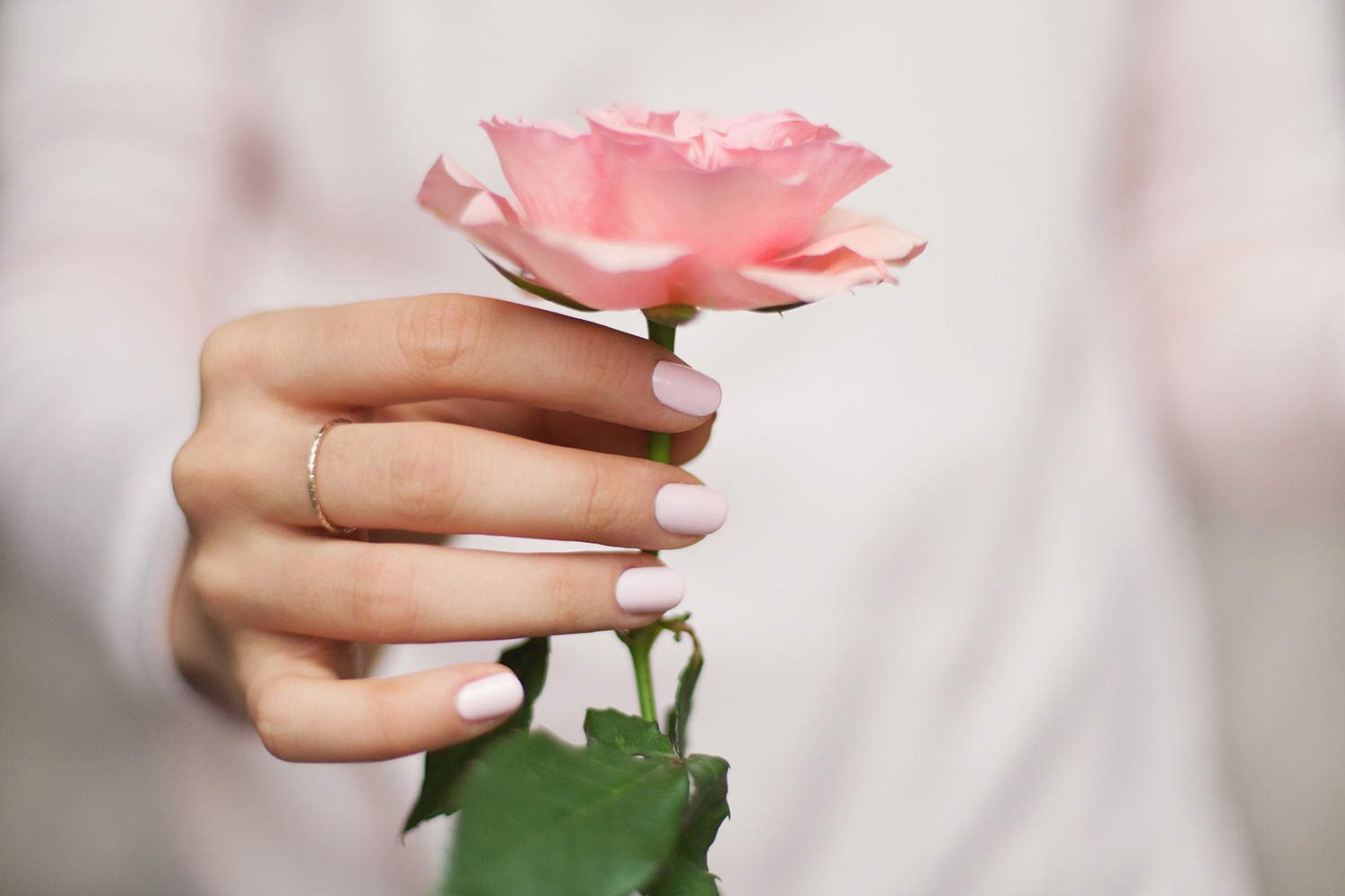 Holding a pink rose by M. Klasan
