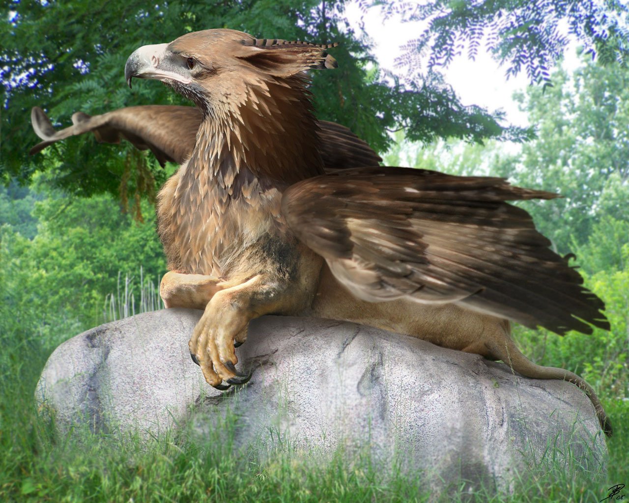 fantasy griffin Image