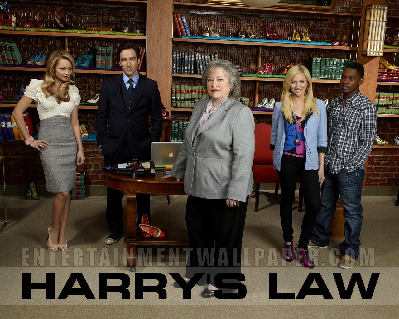 TV Show harry's law Image