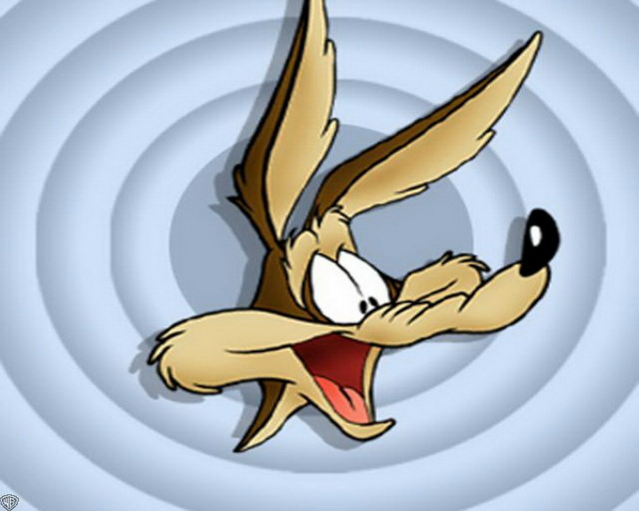  wile e coyote