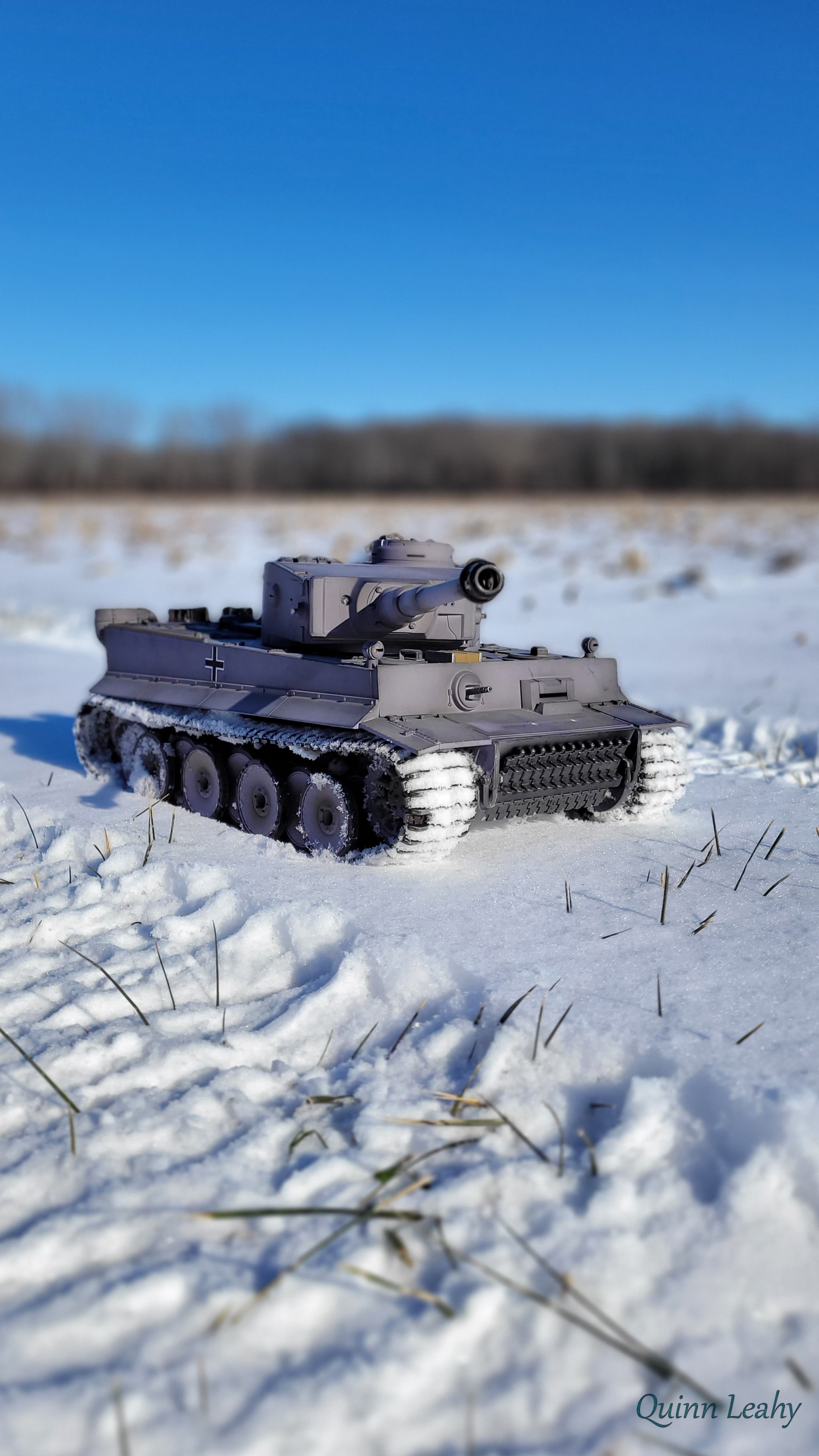 A Snowy Tiger by Sentry_gunner