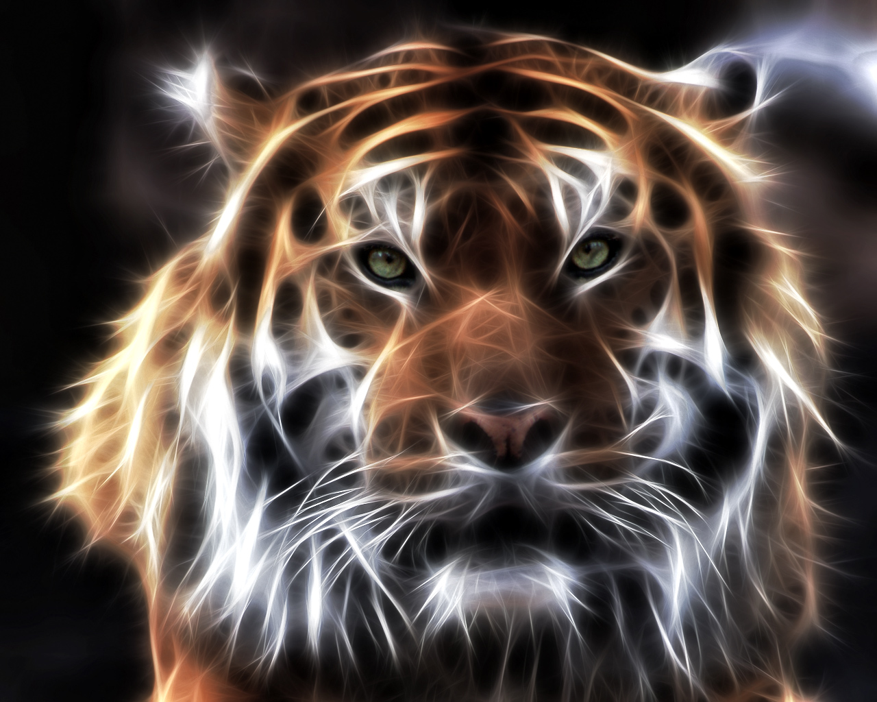 Tiger Picture - Image Abyss