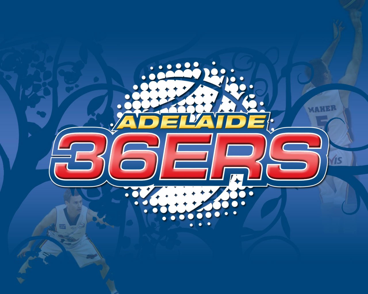 adelaide 36ers Sports Image