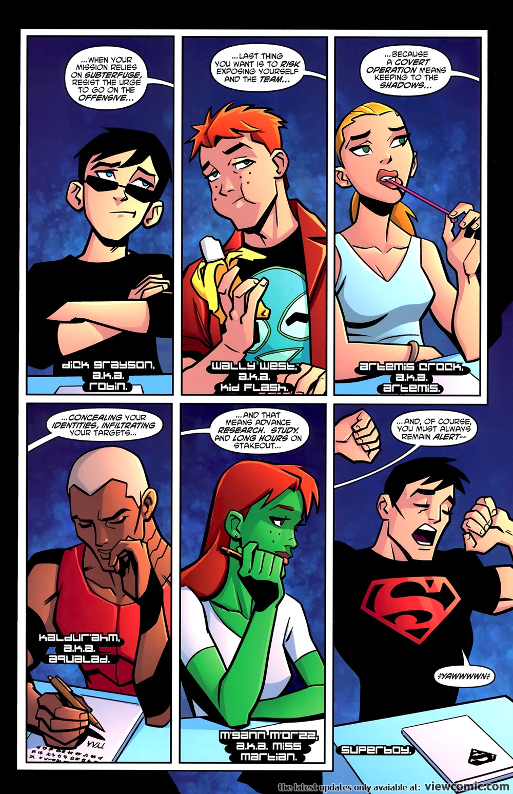 Young Justice Picture