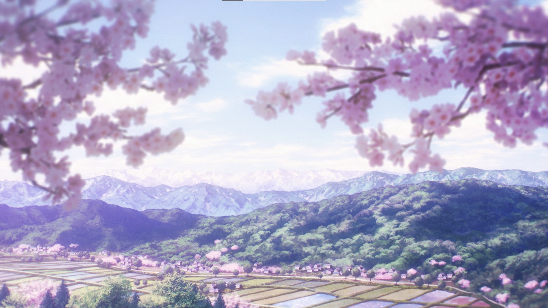 Anime Akebi's Sailor Uniform Image