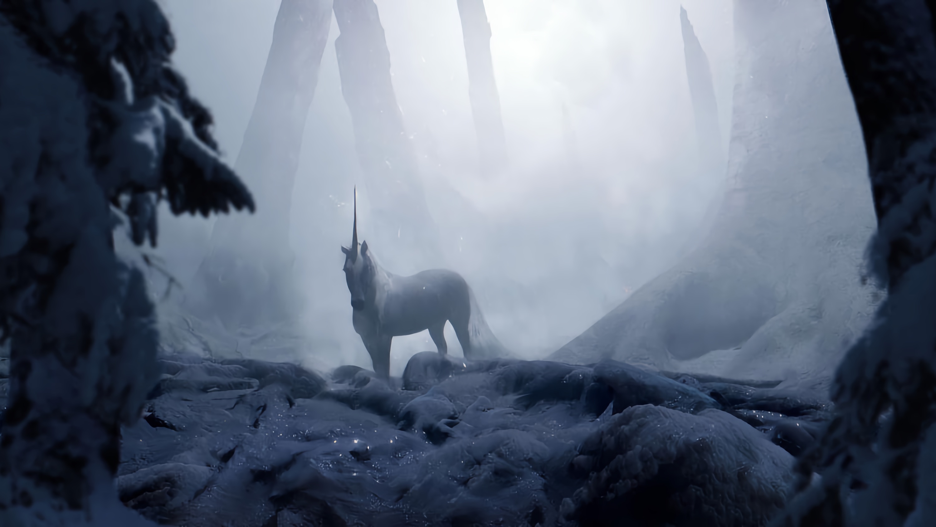 Fantasy Unicorn Picture Biology Diagrams