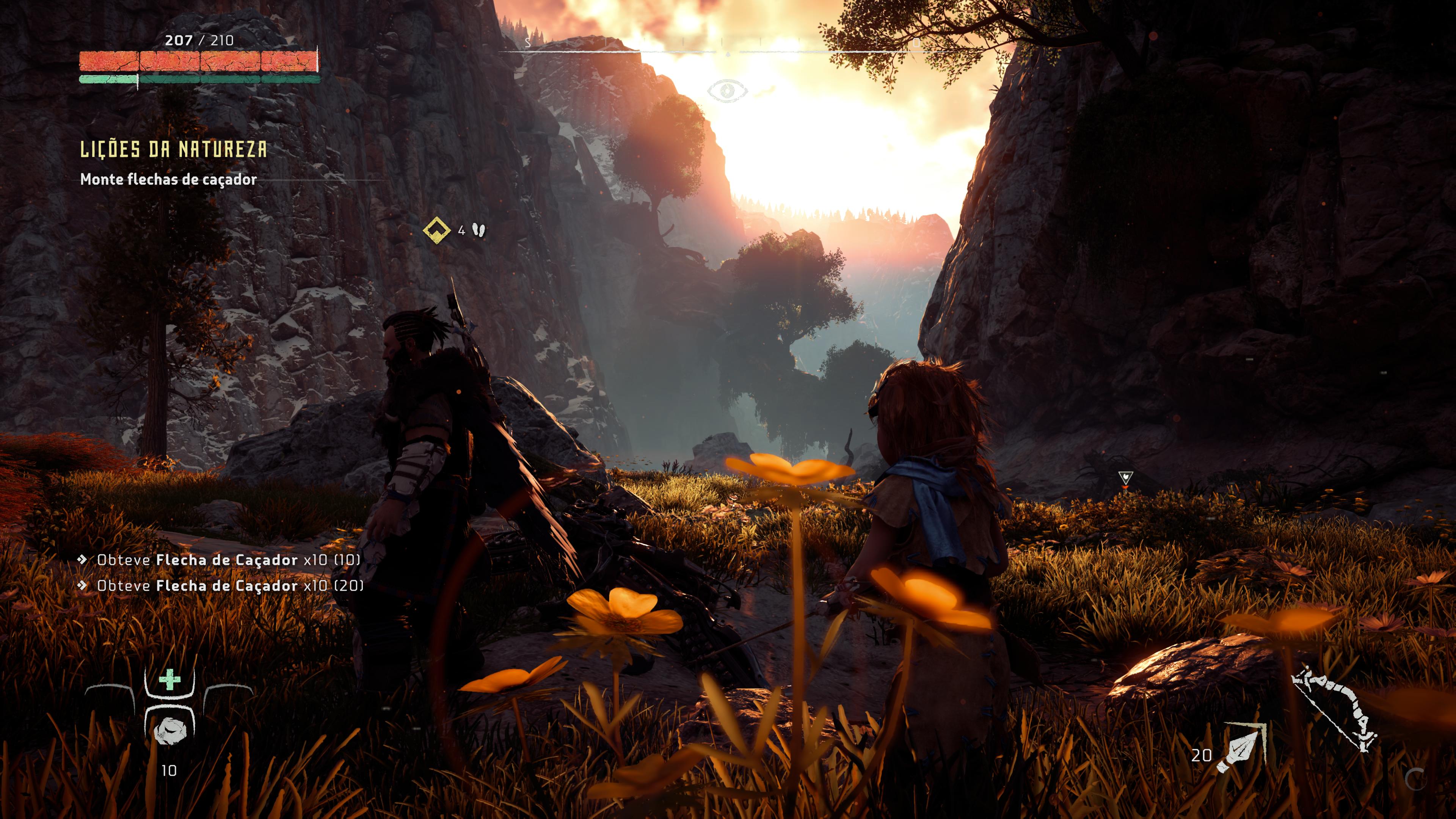 Horizon Zero Dawn Picture