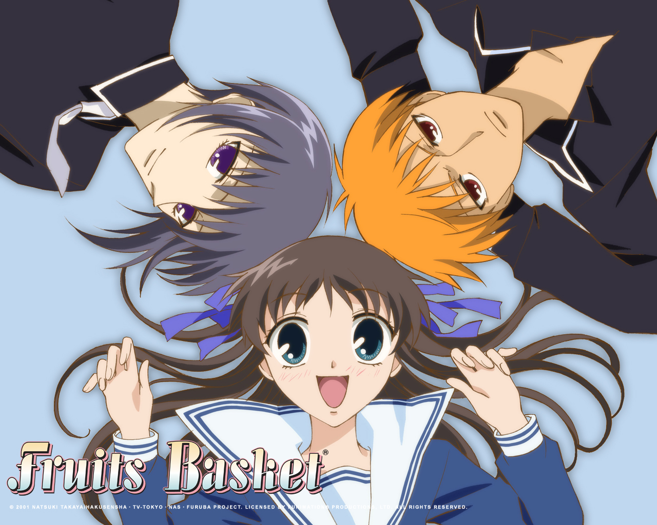 Fruits Basket Picture