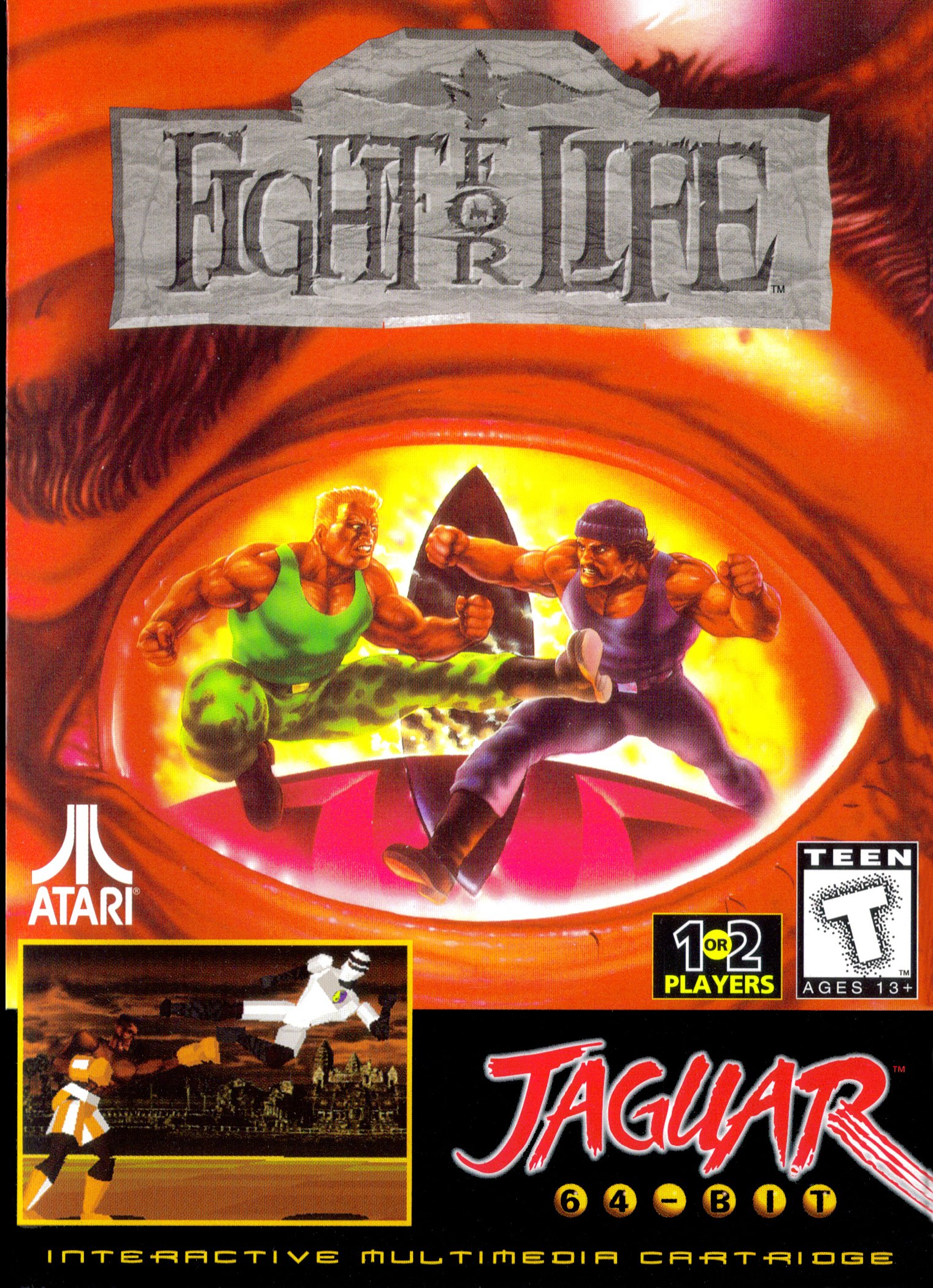 video game Fight for Life Image