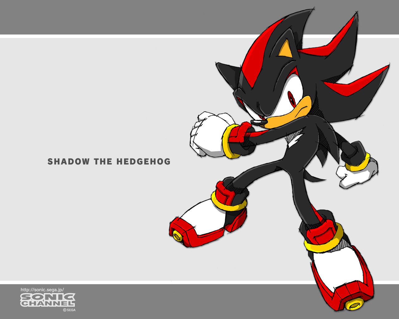 video game Shadow the Hedgehog Image