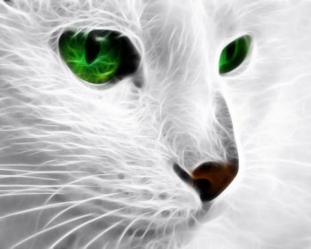 Preview Fractal