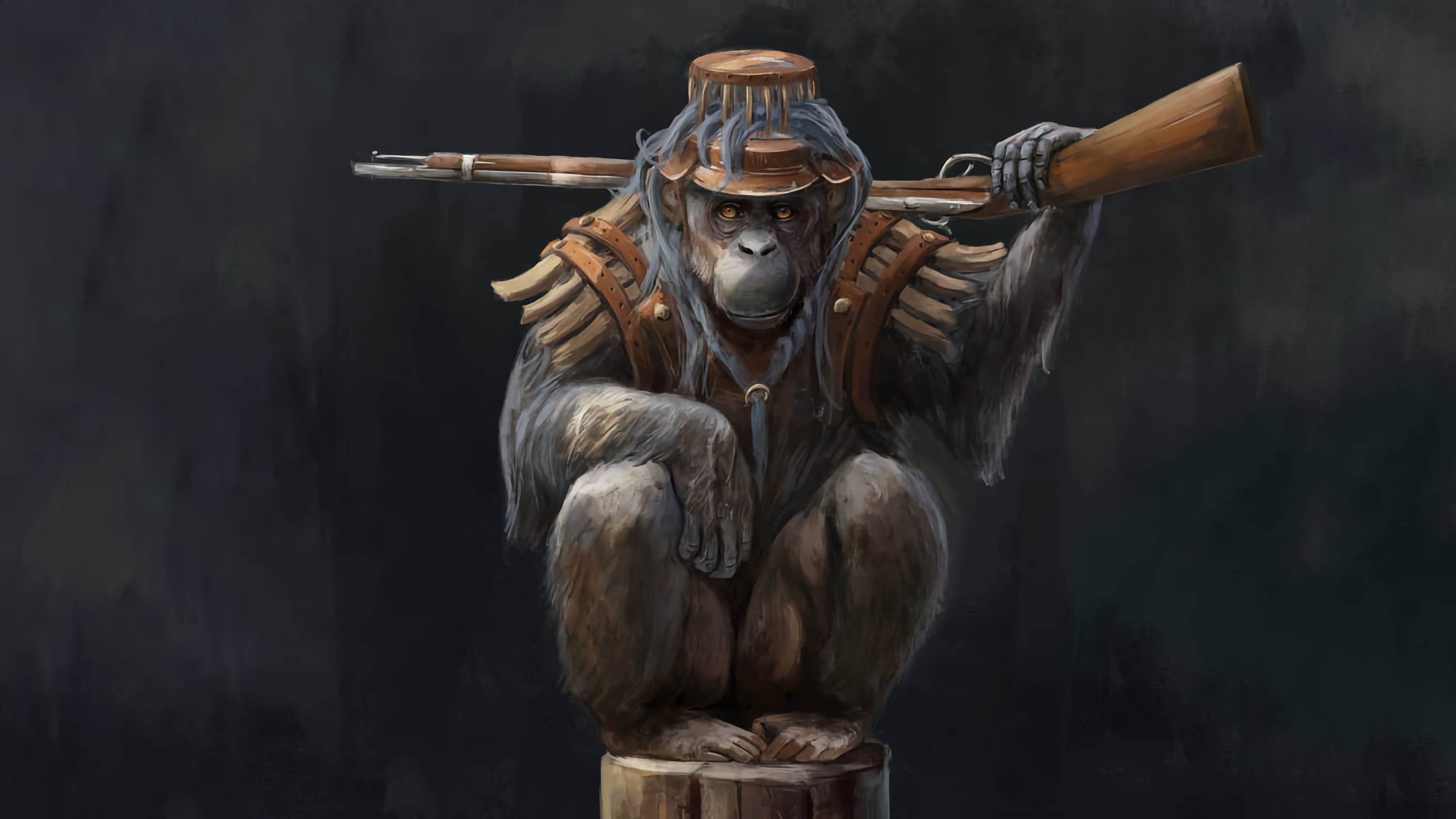 Chimpanzee Picture