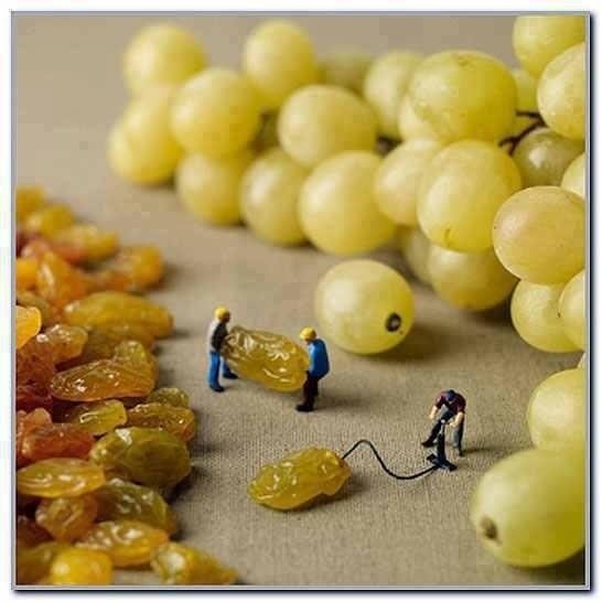  How Grapes Are Made
