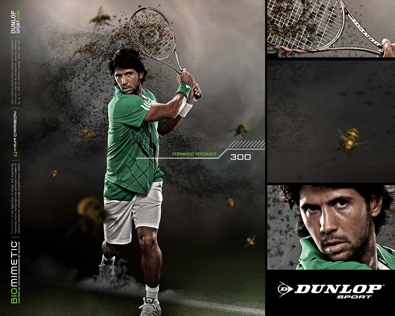 fernando verdasco Sports Image