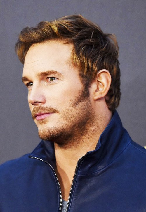 Chris Pratt Image - ID: 50676 - Image Abyss