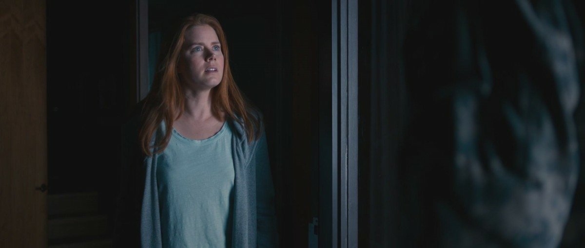 Celebrity Amy Adams Image