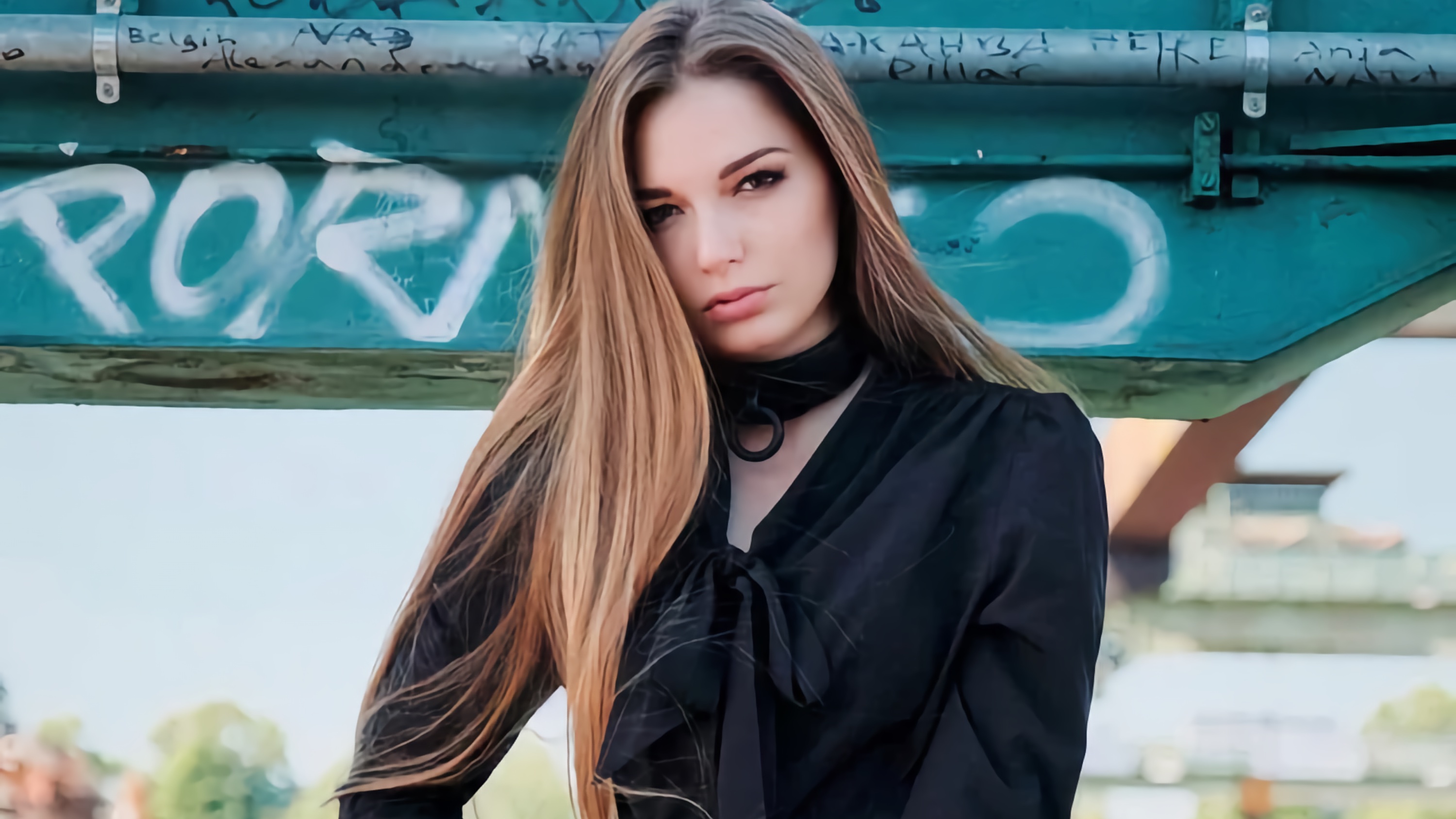 Model Picture