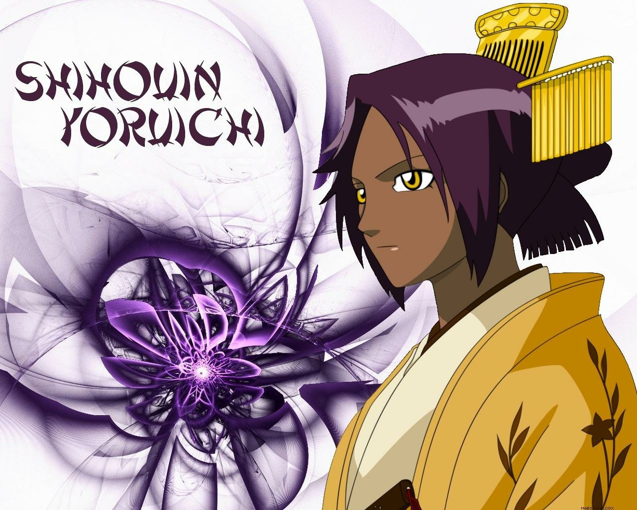 Yoruichi Shihôin Anime Bleach Image