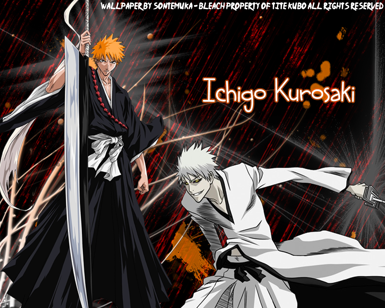 Anime <b>Bleach</b> Picture - Image Abyss.