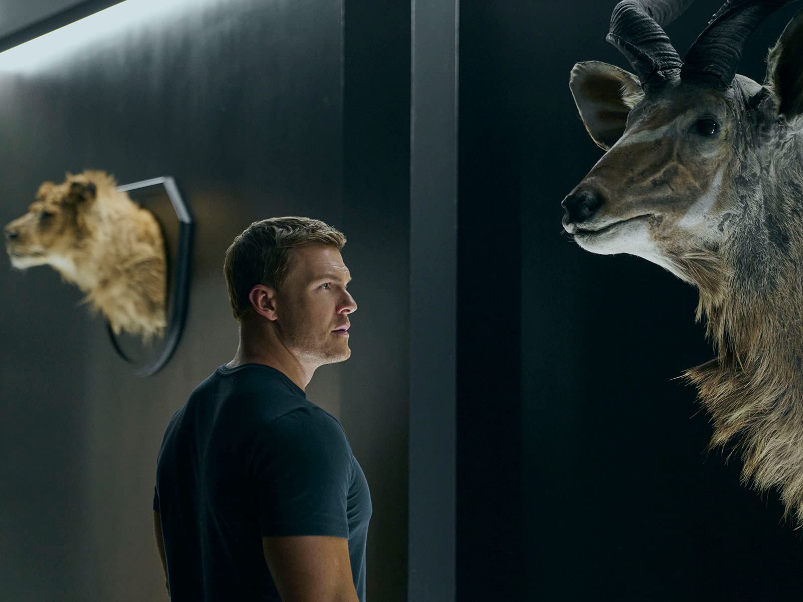 Download TV Show Reacher Image