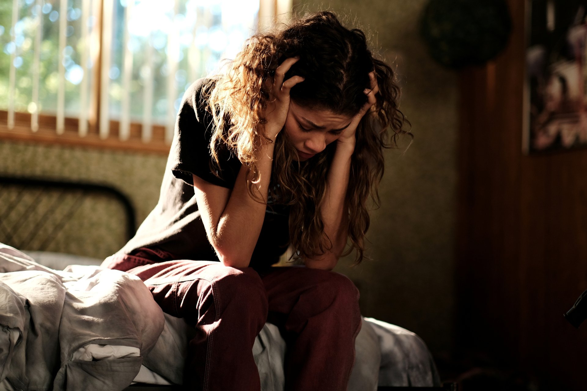 Download TV Show Euphoria Image