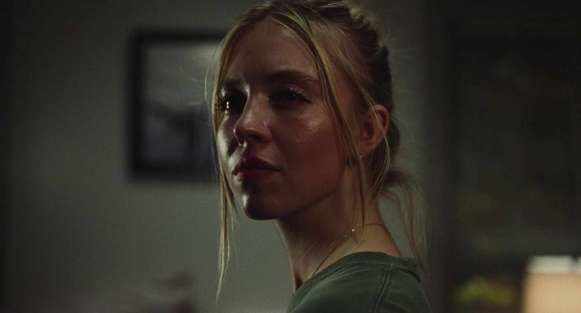 TV Show Euphoria Image