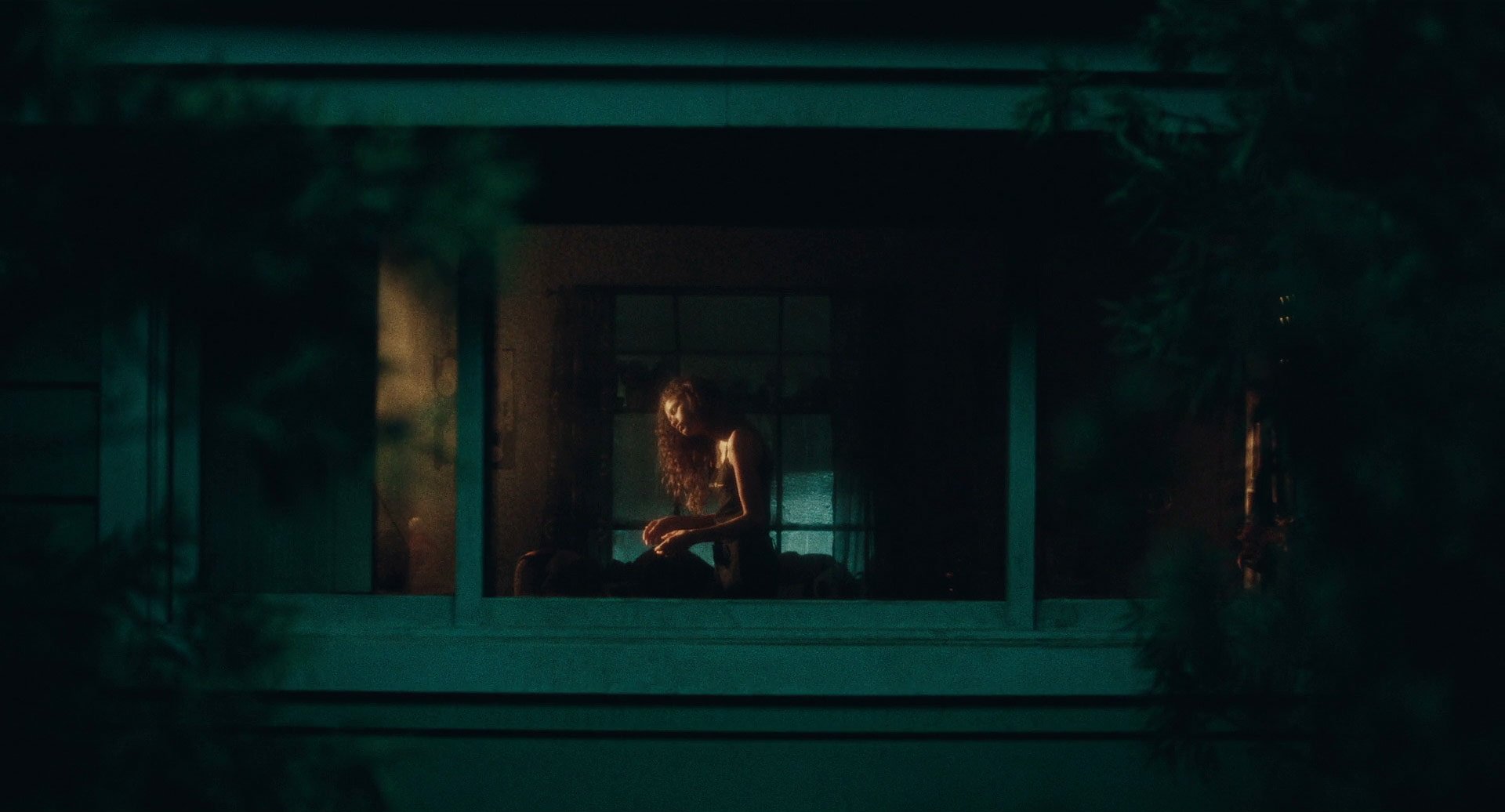 TV Show Euphoria Image