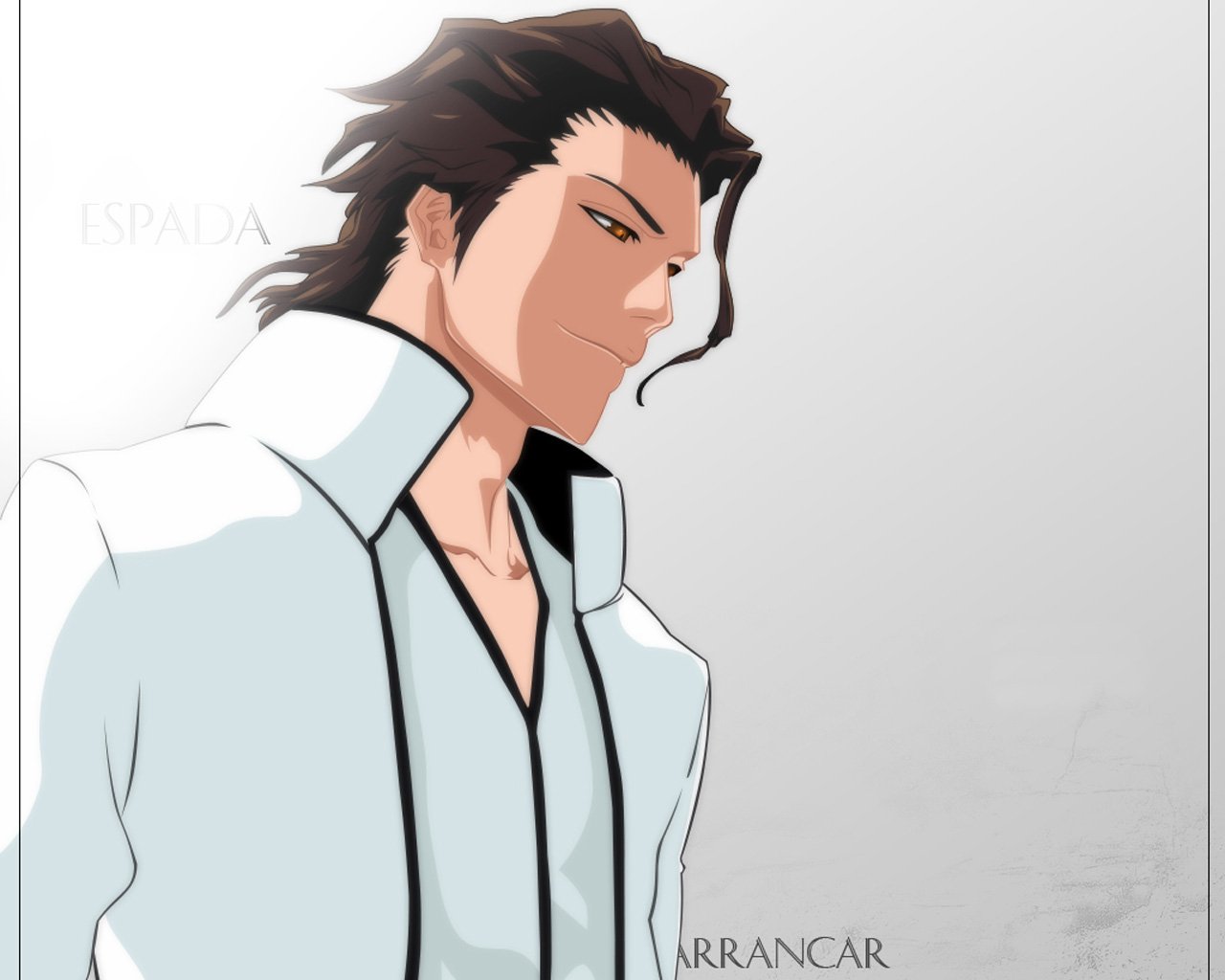 Sōsuke Aizen Anime Bleach Image