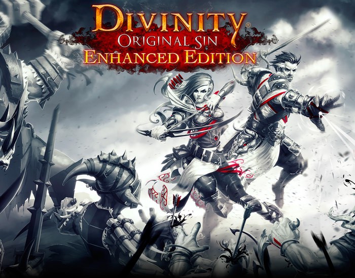 Divinity: Original Sin Picture