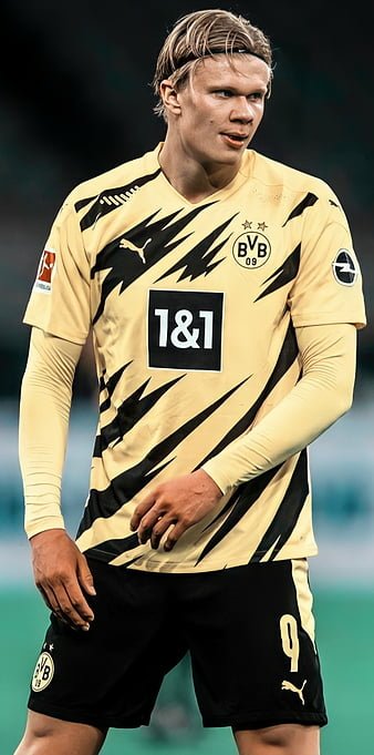 Erling Haaland Image