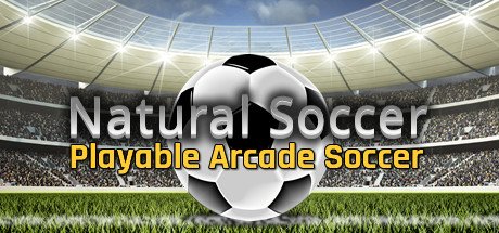 video game Natural Soccer Image