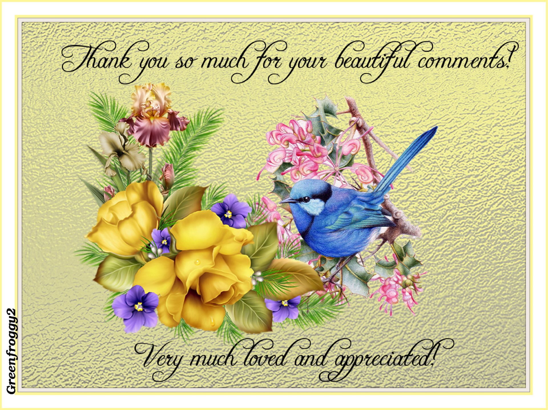 Download Misc Comment Image