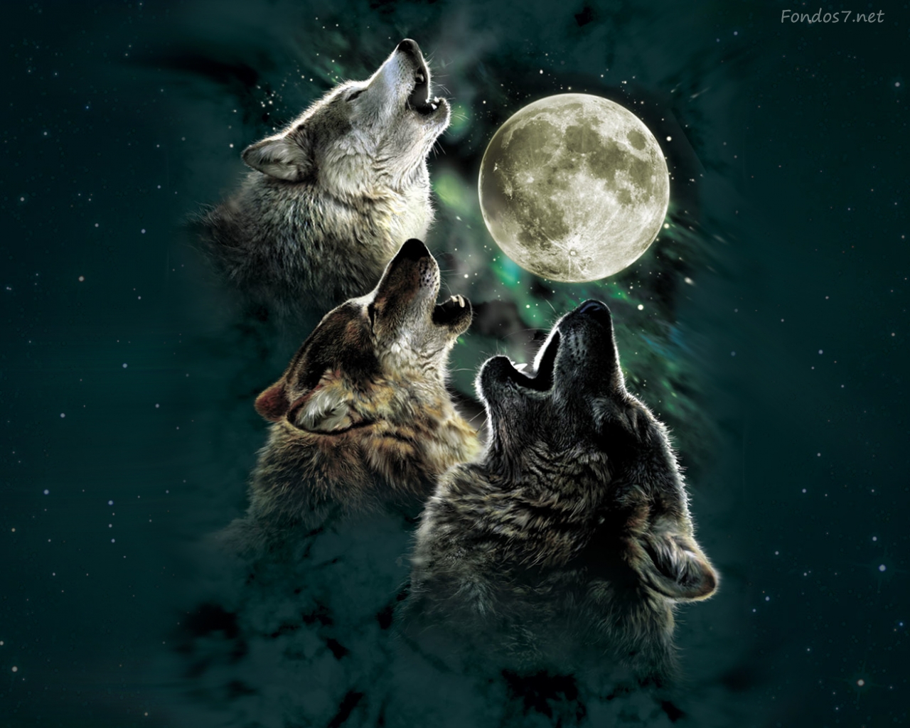 Wolves Howling at the Moon